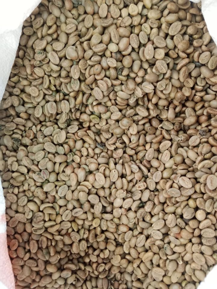 Robusta Coffee Green Bean Grade 3